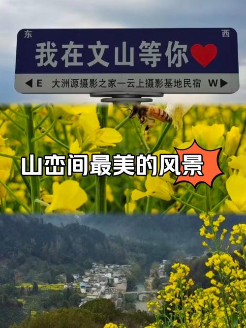 老男孩自駕翻山越嶺去大河岸鎮(zhèn)謝家鋪看七彩油菜花！大美羅田