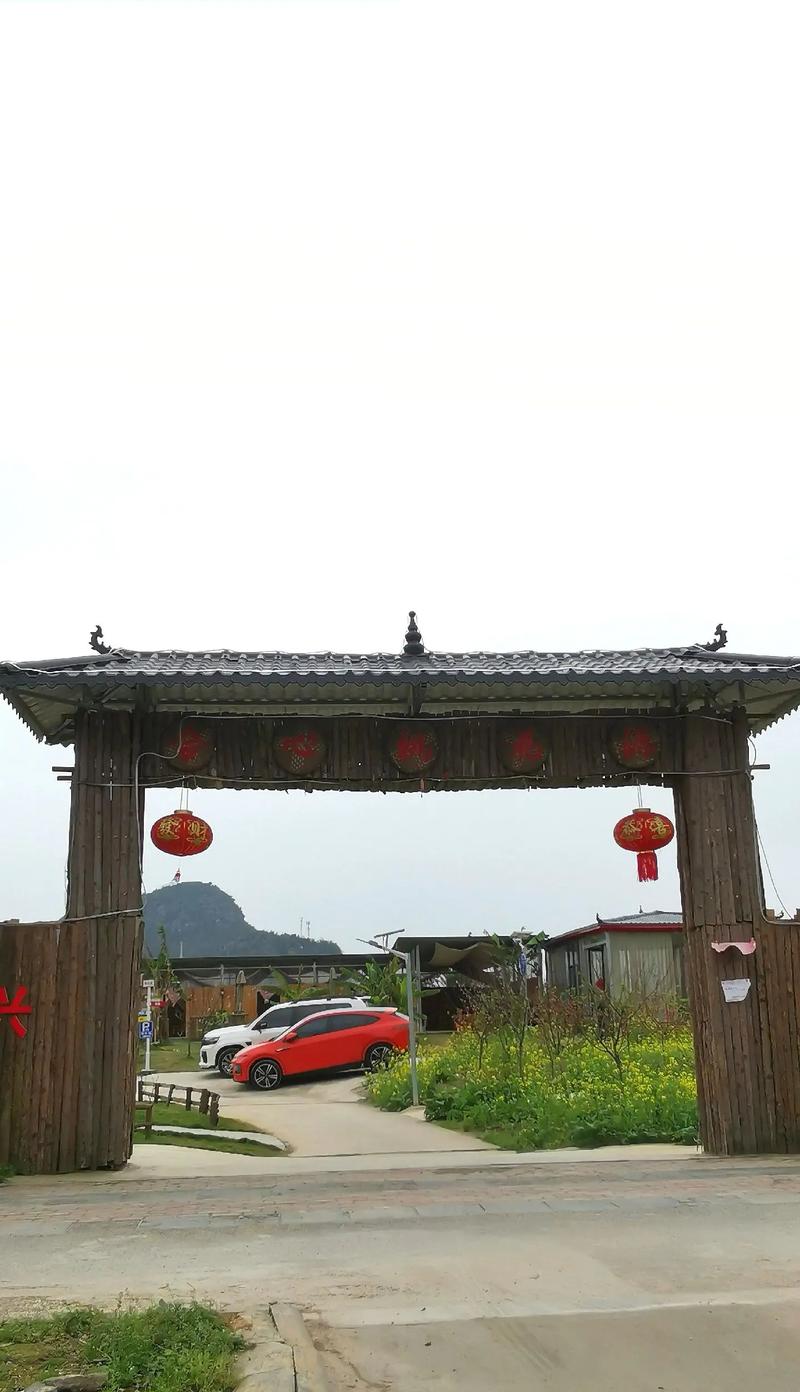祝陽鎮(zhèn)焦南村：花開正盛 春光正好