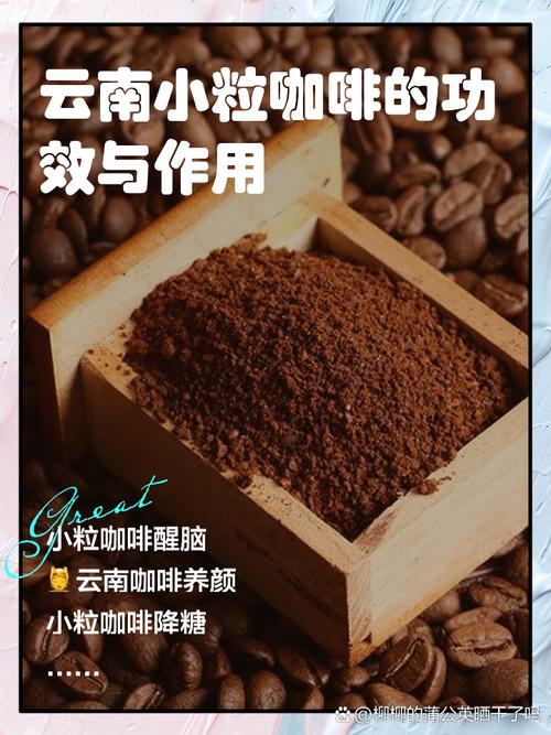 “上海研發(fā)”賦能云南小?？Х取版i鮮提質(zhì)”
