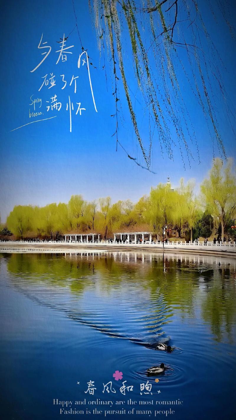 郁郁蔥蔥的春天：大自然的美景盡收眼底