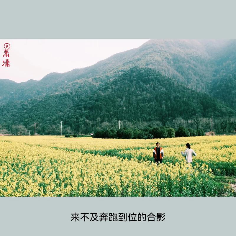 踏青正當時，和春天來一場“雙向奔赴”