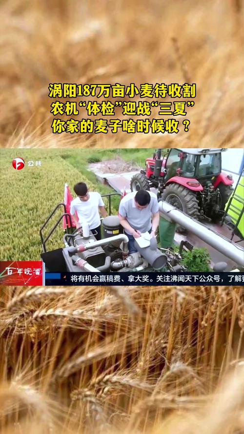 2025年3月29日 第11頁