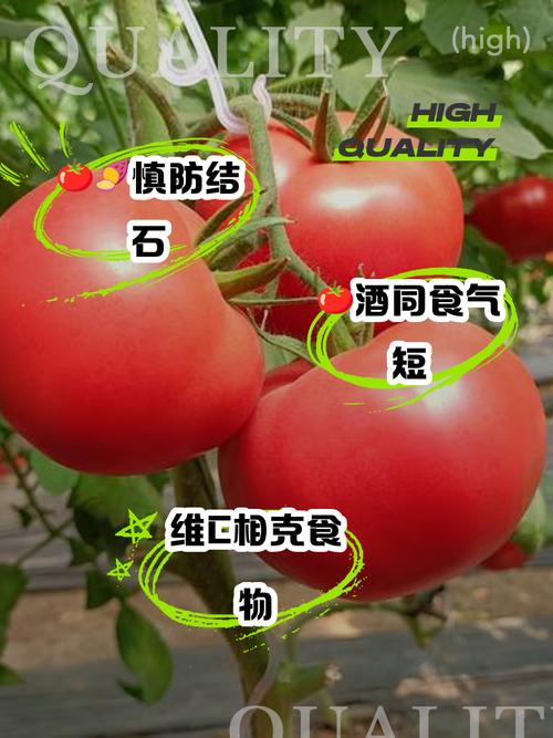 注意：這4種番茄不能吃，一定要叮囑家人忌嘴！別不當(dāng)回事