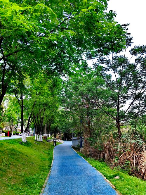探尋城市中的自然寶藏：最美公園隨拍