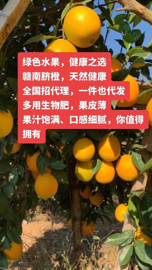 警惕！這三種“人工合成”水果，千萬別買！病從口入，健康第一
