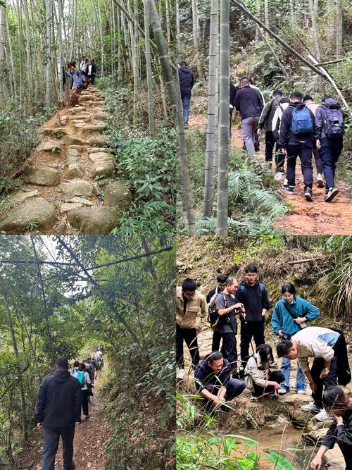 不負(fù)韶華！黃梅七小組織開展春季戶外春游活動(dòng)