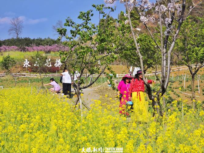 永樂鎮(zhèn)：舉辦踏春賞花活動(dòng)，助推農(nóng)旅融合發(fā)展