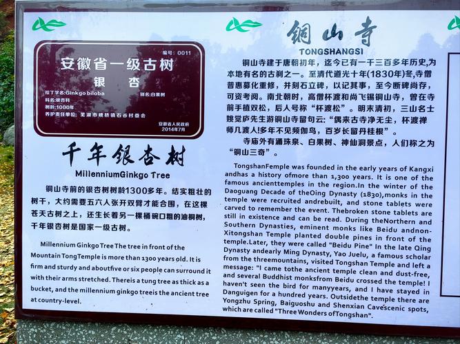 滎陽塔山自駕驚魂記：千年古塔與野生杏花的邂逅