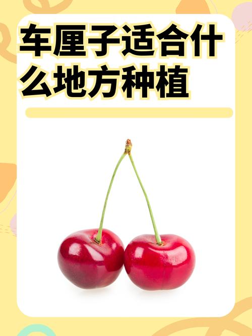 水果界的“大忽悠”你可買過？