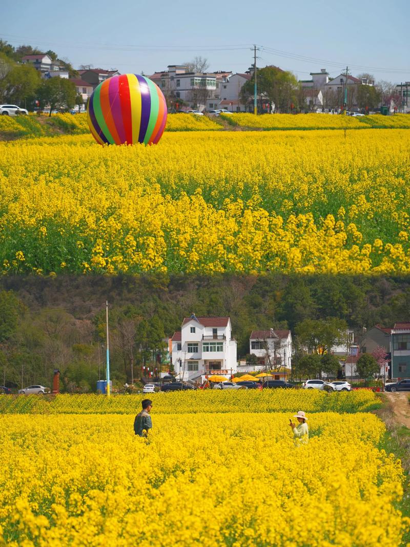 蕪湖三山響水澗油菜花季節(jié)#歡樂蕪湖春天有約