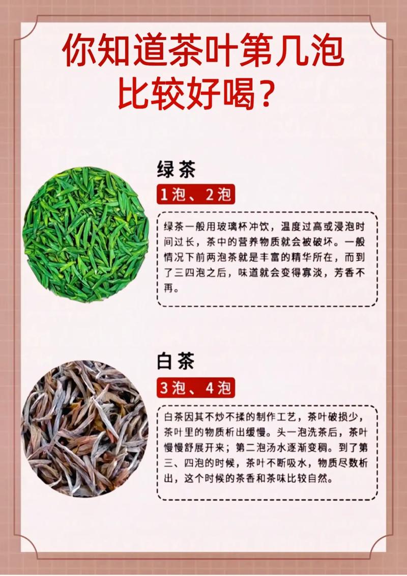 茶葉能泡幾回？綠茶、黃茶、紅茶、白茶，一次性說清楚