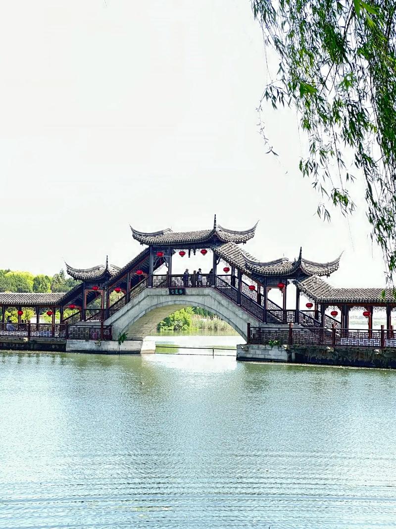 “夢回水鄉(xiāng)，印象錦溪”視頻記錄美好瞬間#印象錦溪(合集完)