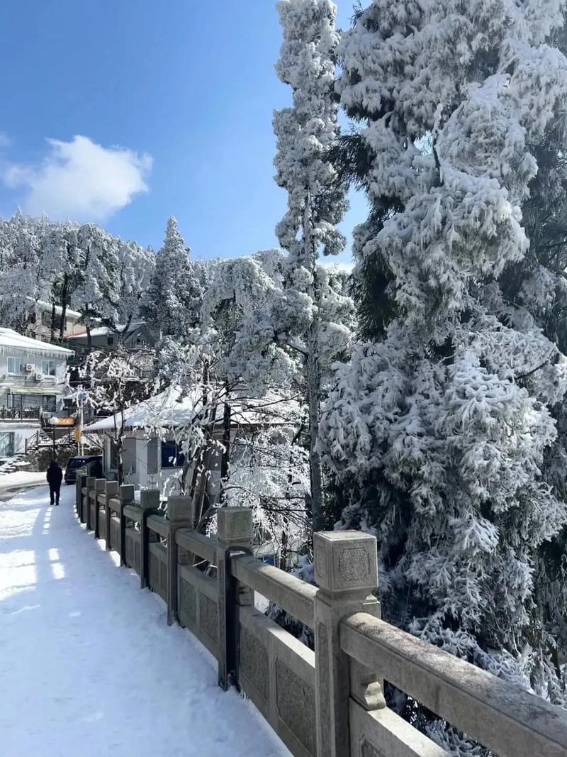 3月底了，廬山居然還下雪？