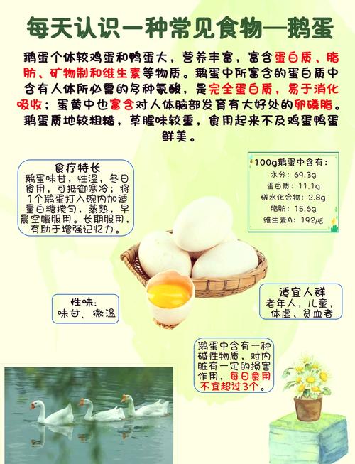 鵝蛋為啥少有人吃？也很少有人賣，我也是剛知道，看完漲知識了