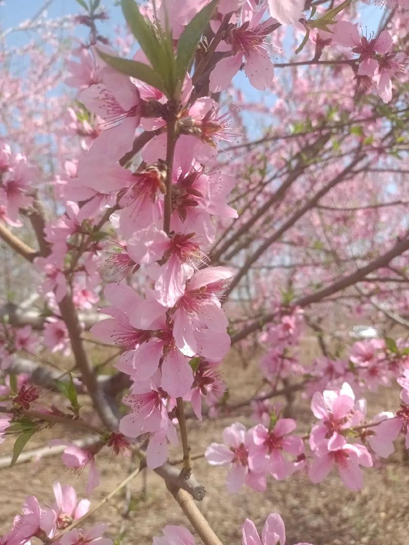 2025年3月30日 第2頁