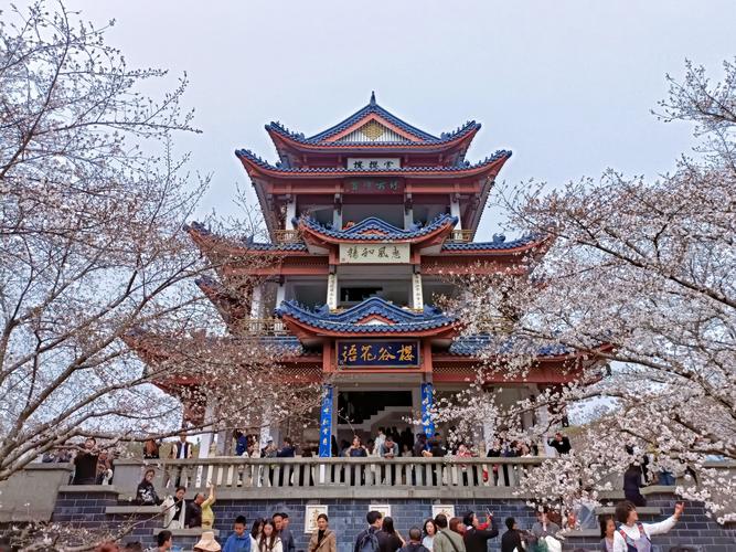 3月29日早七點(diǎn)前的無錫太湖黿頭渚門口 新春園林 無錫 黿頭渚