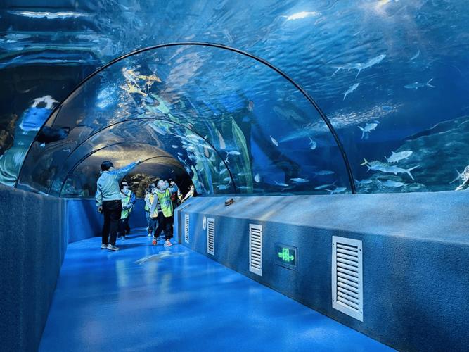 北京三大海洋館春天一定要來太平洋海底世界 親子游玩好去處