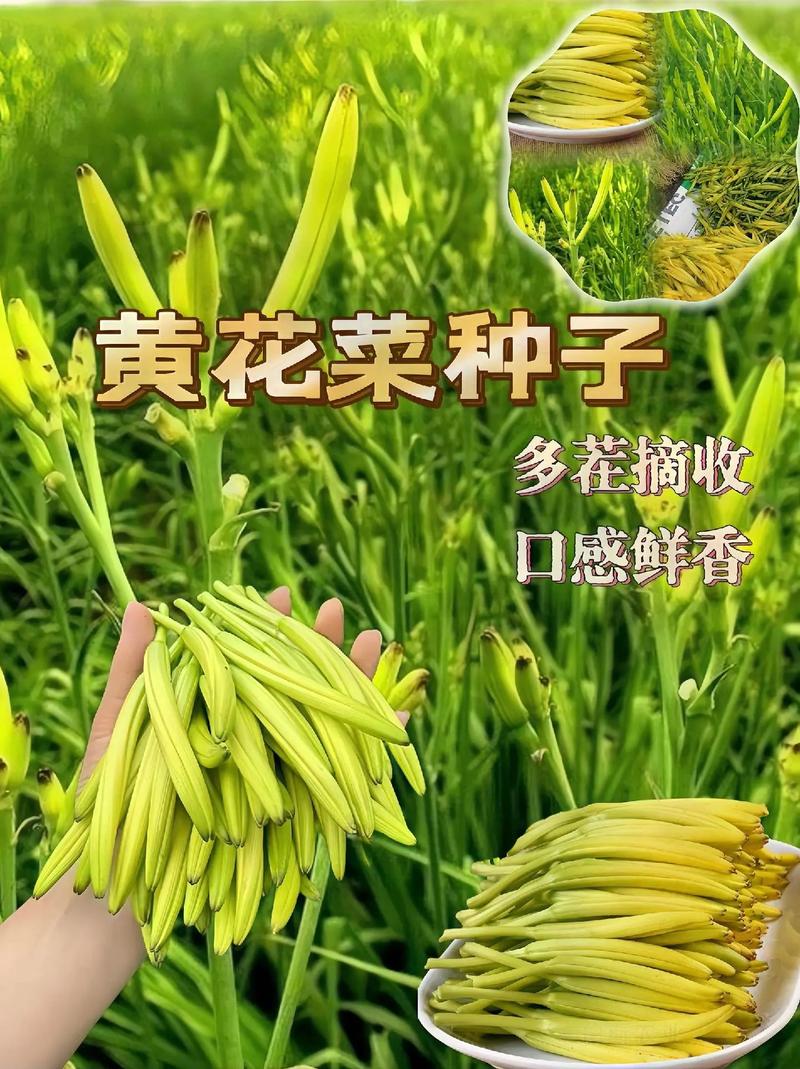 春芽正當(dāng)時(shí)！這5道黃金菜助娃躥高個(gè)，錯(cuò)過(guò)再等一年！