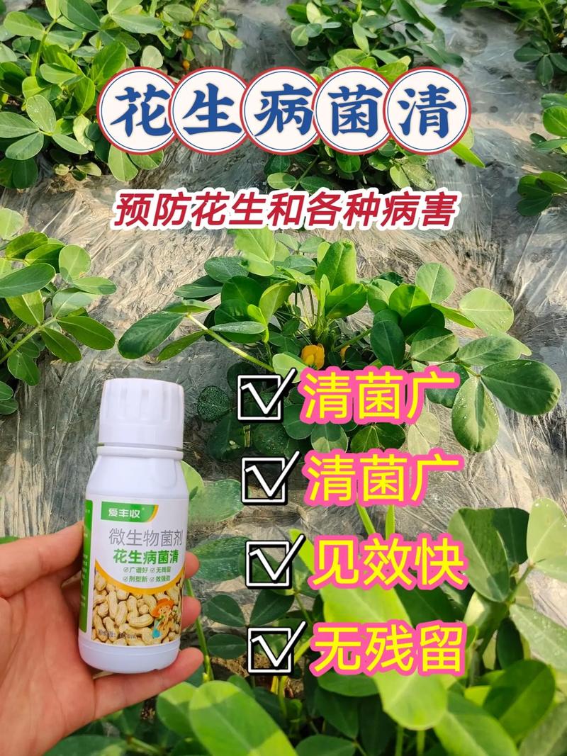 山東綠德地：專(zhuān)注解決花生根際病蟲(chóng)害高效防治