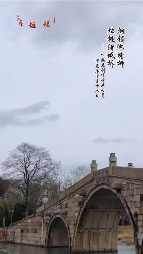 世上最孤獨(dú)的樹(shù)有千千萬(wàn)，但錢塘江里恐怕就這么一棵，還是垂柳