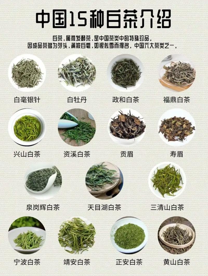 關(guān)于白茶的品質(zhì)，怎么分？