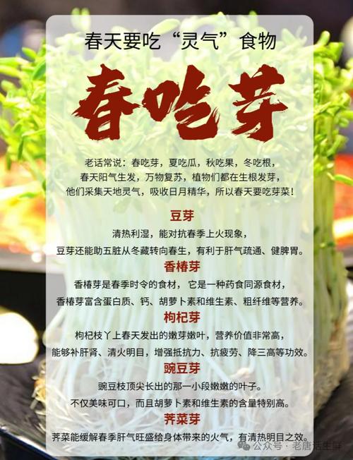 “春吃芽，夏吃瓜”多給孩子吃四種春芽，營(yíng)養(yǎng)豐富，助孩子成長(zhǎng)