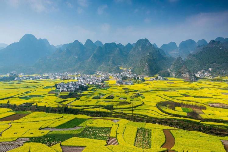 湖南通道縣：黃家堡的春天 油菜花的時(shí)節(jié)，美麗鄉(xiāng)村景色迷人