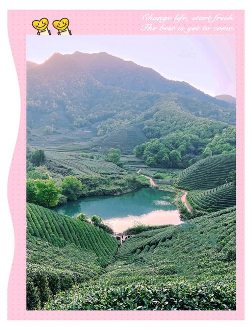 陽春三月，隨團旅游走近杭州西湖龍塢茶鄉(xiāng) 茶是春天的儀式感