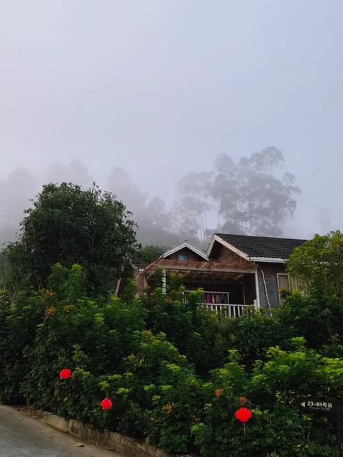 #三月三 最美風(fēng)景 巴馬