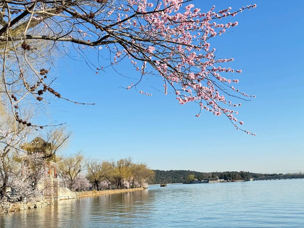 頤和園昆明湖驚濤拍岸，你說湖中的水鳥會不會暈哪？