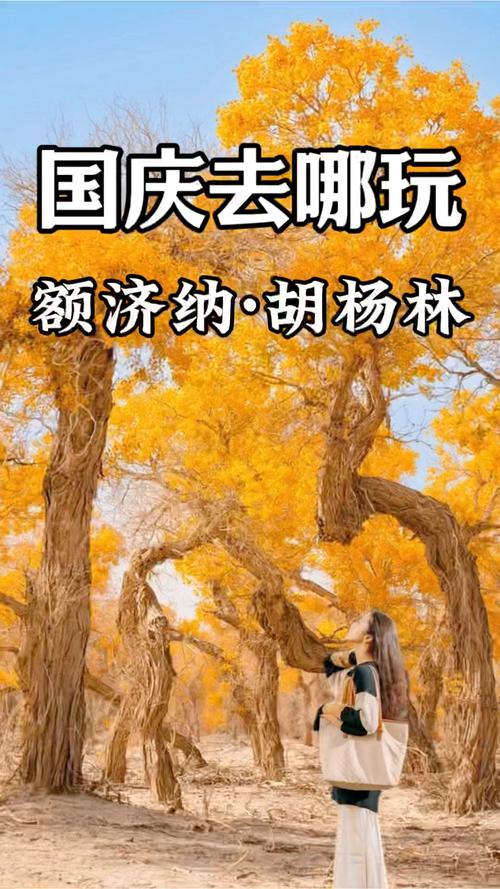 內(nèi)蒙古文旅回信瀟冉，全省景區(qū)免費(fèi)對(duì)她開(kāi)放：包含額濟(jì)納旗胡楊林