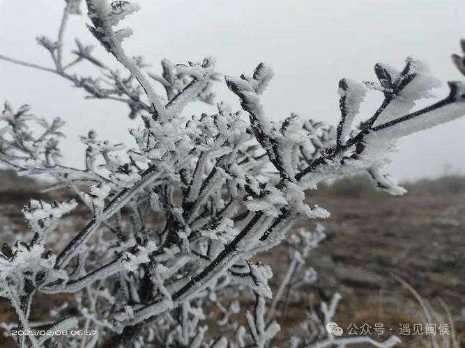 剛剛！大湖鄉(xiāng)雨凇美景再現(xiàn)！