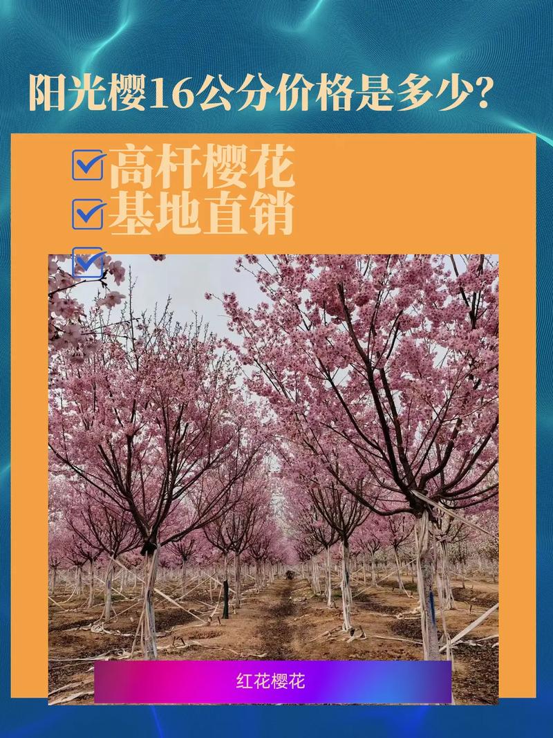 鶴壁櫻花園賞櫻預(yù)約公告！