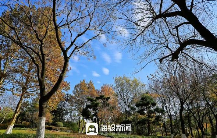 【花漾日照】春到日照植物園