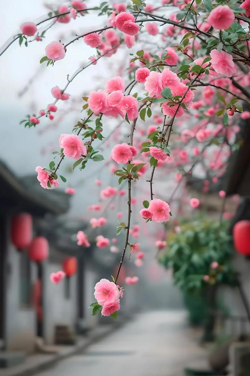 如詩如畫春意盎然！春暖花開奔你而來