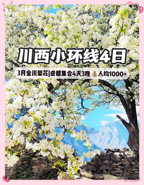 邂逅爛漫梨花，伙伴們奔赴一場(chǎng)與快樂(lè)撞個(gè)滿懷的金川賞花之約