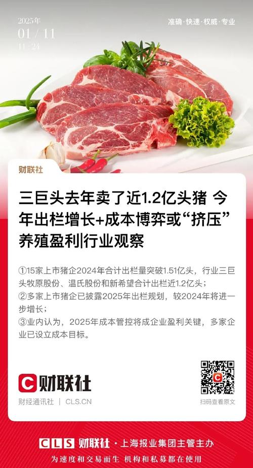產(chǎn)能釋放 消費疲軟，2025年山東豬業(yè)將面臨雙重考驗