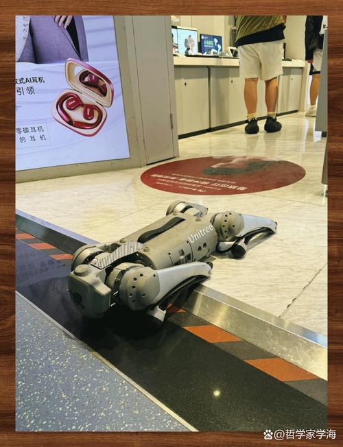 “2025年西城非遺體驗周”啟幕，傳統(tǒng)技藝牽手宇樹機器人，帶來創(chuàng)新看點→