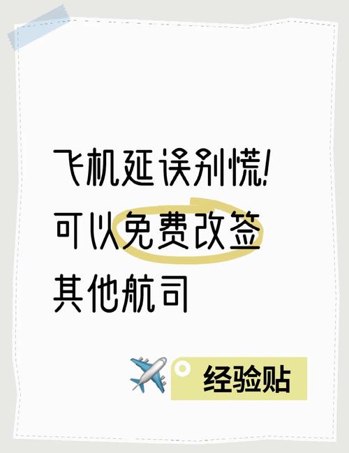 飛機機械故障臨時改簽。人到國內(nèi)了，行李還在歐洲