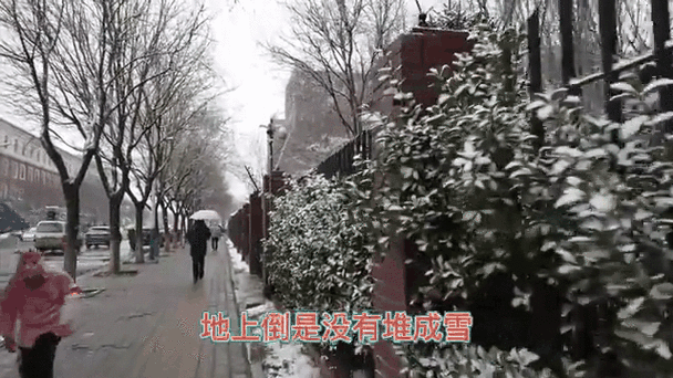 3月28號，北京飄雪，看把這些游客凍的樣子！倒春寒