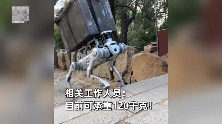 山東泰山機器狗搬山工一次可搬運240斤貨物，科技真的走進生活了