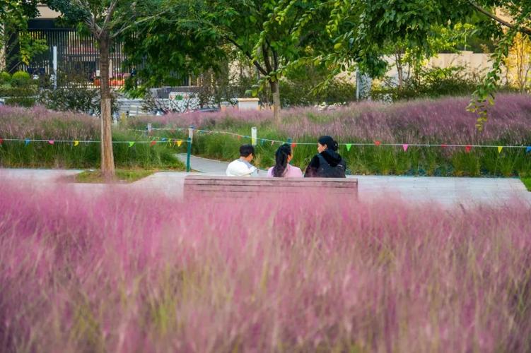 打卡濟(jì)南百花公園，粉色花海美不勝收！