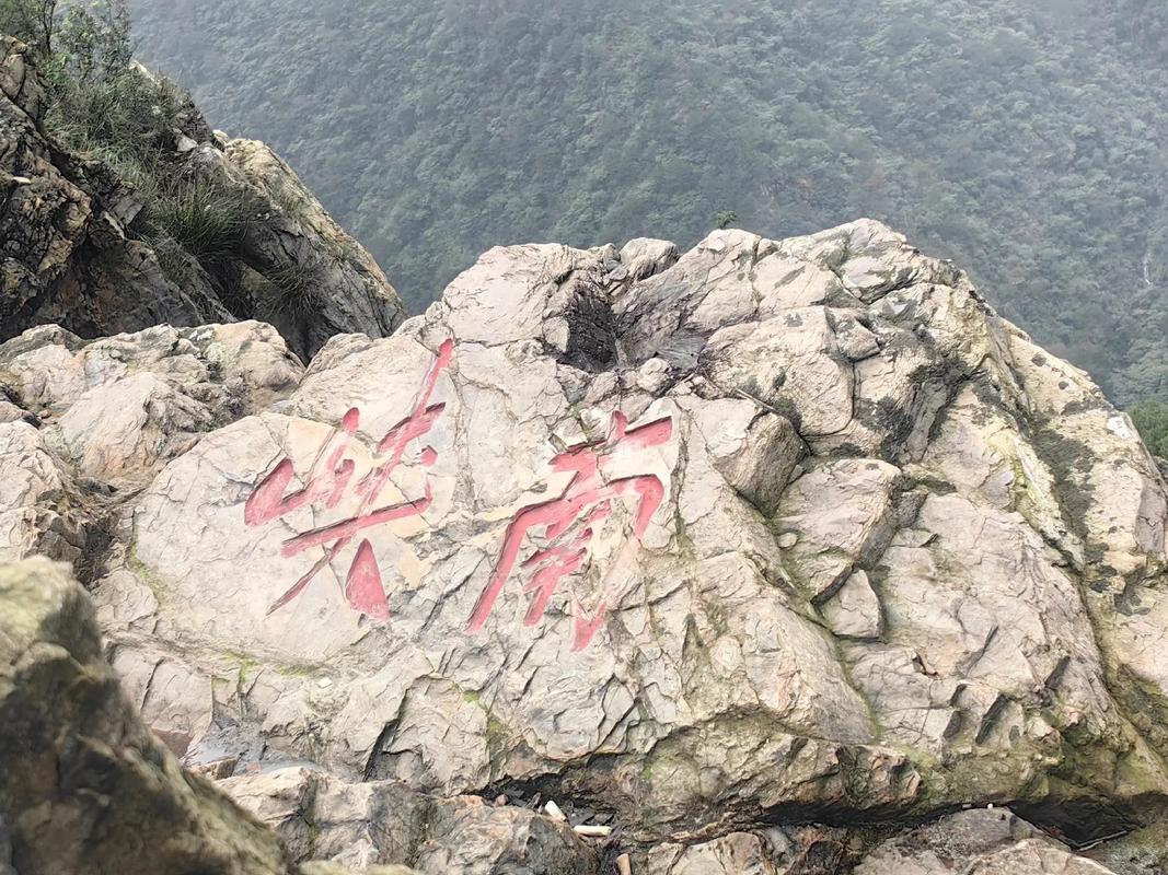 張懷民攜東坡夜游錦城，探秘夜色中的“寶藏”景點(diǎn)！