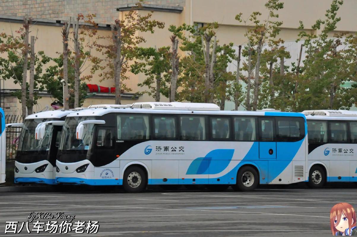 濟(jì)南公交最后的純?nèi)剂宪嚤环植荚跐?jì)南市的客流干線上#濟(jì)南公交 二把手工作室 星野愛
