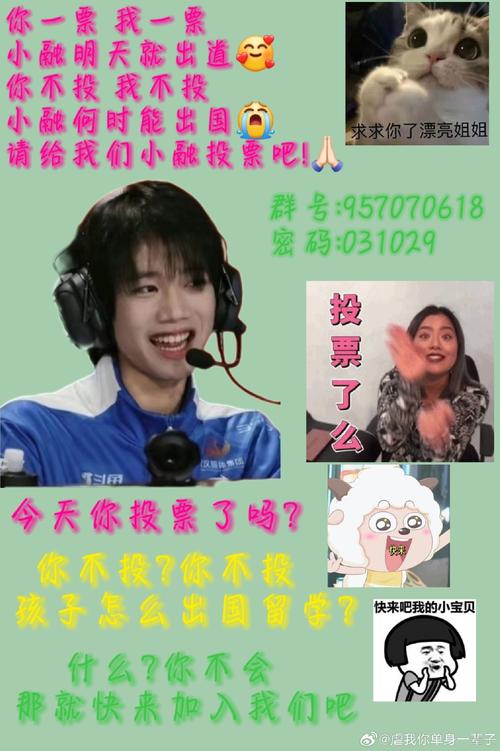 你一票、我一票，岳陽(yáng)縣明天就“出道”