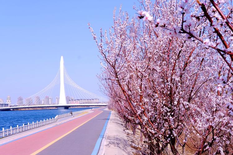 新野津?yàn)程一m然迷人，桃園東邊白河風(fēng)景更加優(yōu)美，散心絕佳之地