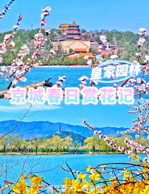春日限定花海全紀(jì)錄！來景山公園看“中式浪漫天花板”