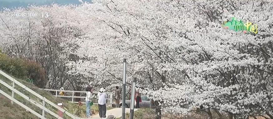 聽音樂、賞美景、品美食…顏值”變“產(chǎn)值”激活鄉(xiāng)村春日消費(fèi)新場(chǎng)景