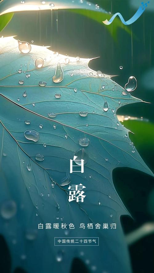 今日白露，和敬一丹在長城感受白露之美