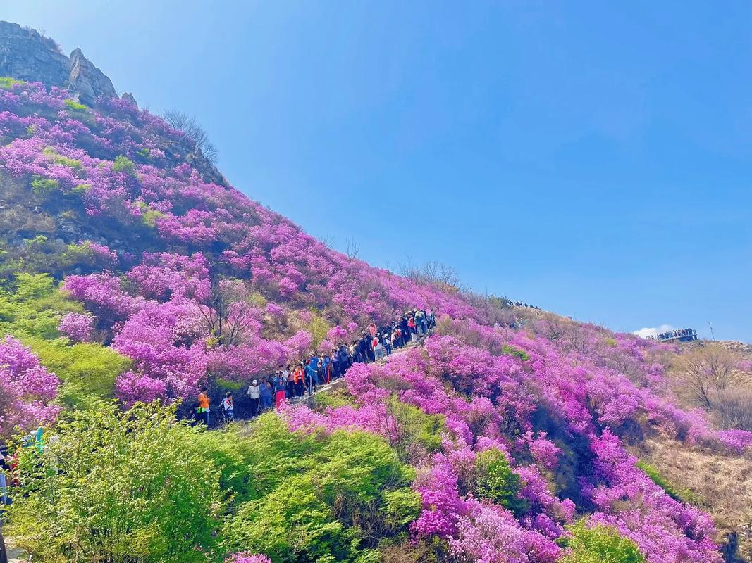 5月起開放！來平武虎牙，打卡飛瀑奇觀、杜鵑花海…